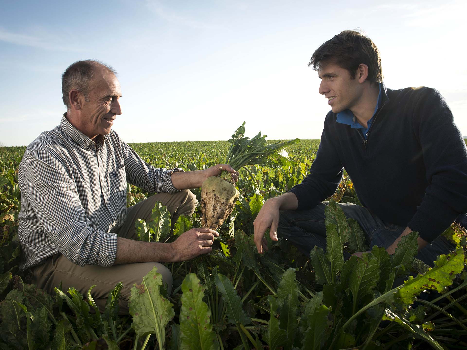 Sustainable Agriculture - Tereos - Tereos