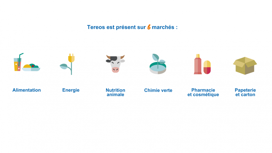 Website – marchés